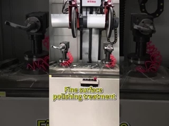 Tratamiento de pulido superficial fino——Pulidora totalmente automática