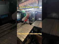 Desbarbado robótico totalmente automático